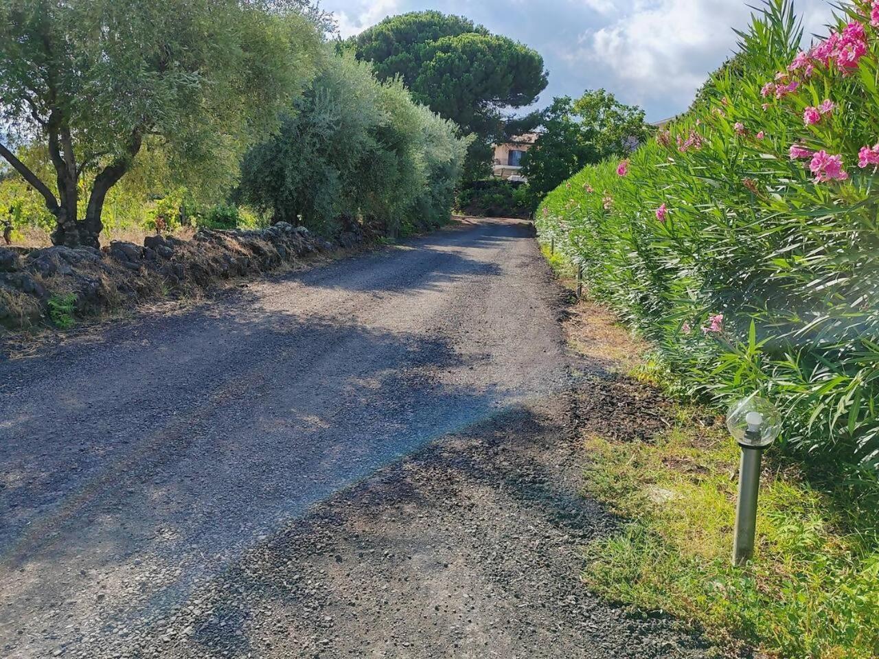 Villa Persea Santa Venerina Exteriér fotografie
